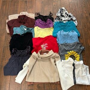 Woman’s clothing bundle ginger g, pink lily,scotch & soda